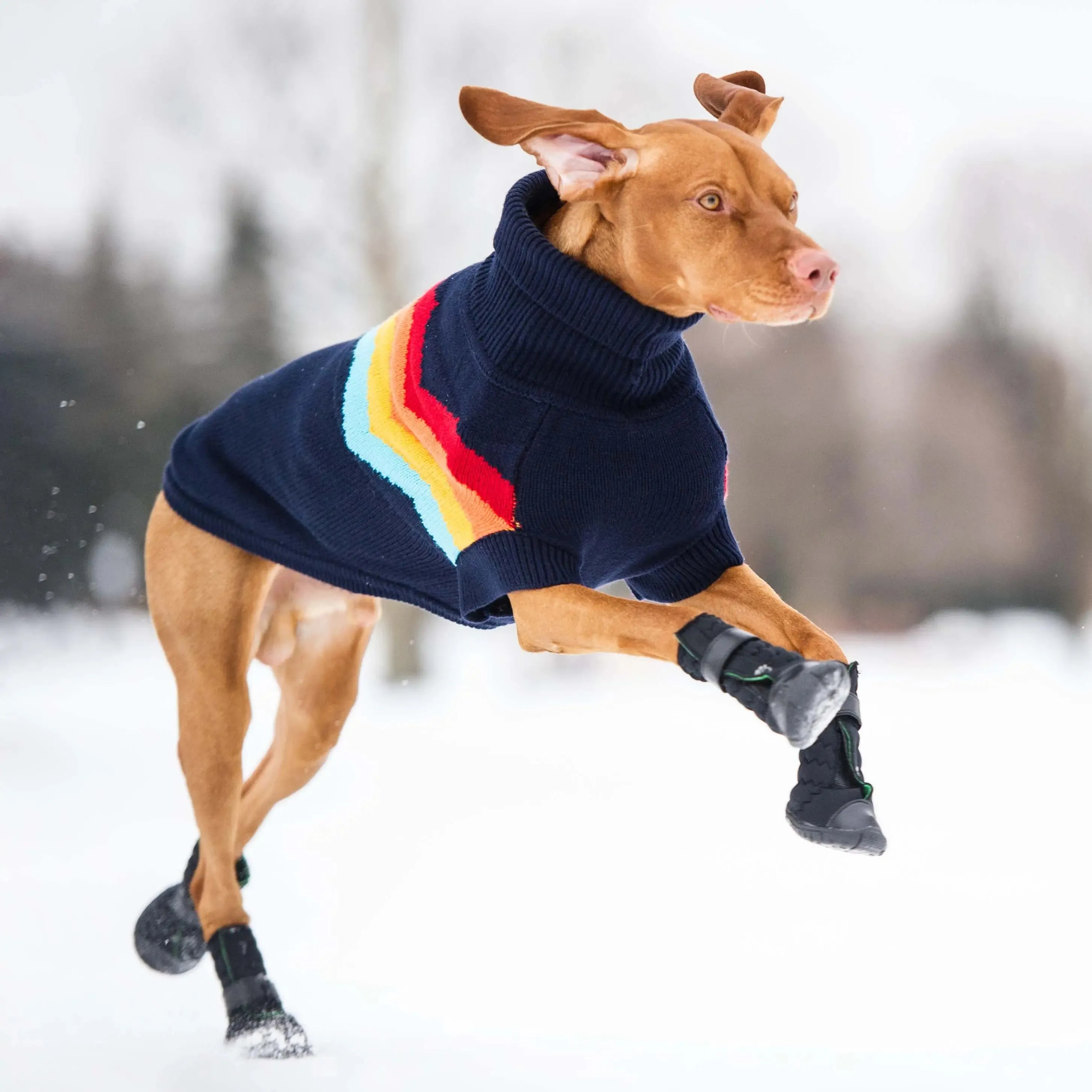Elasto-fit® Dog Boots