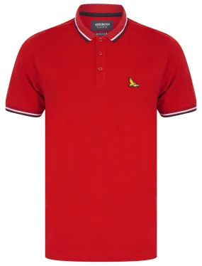 Trundle Cotton Pique Polo Shirt with Tipping in Scooter Red - Kensington Eastside