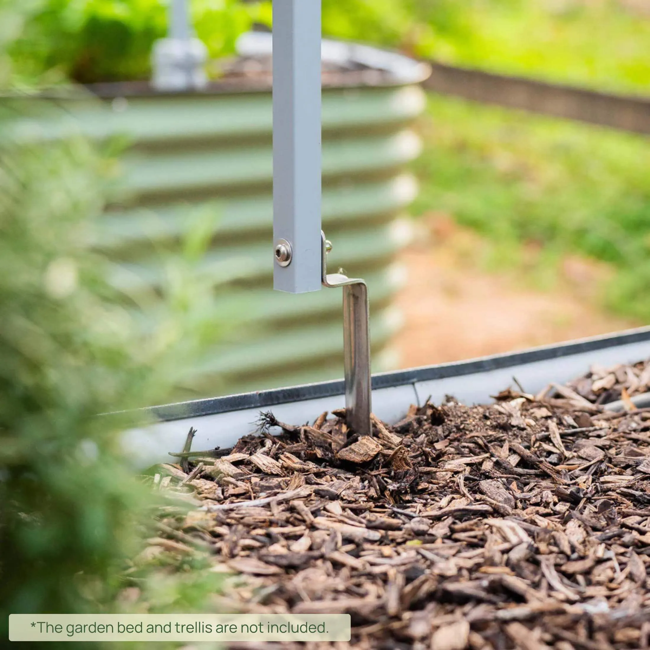 Vego Trellis Anchors