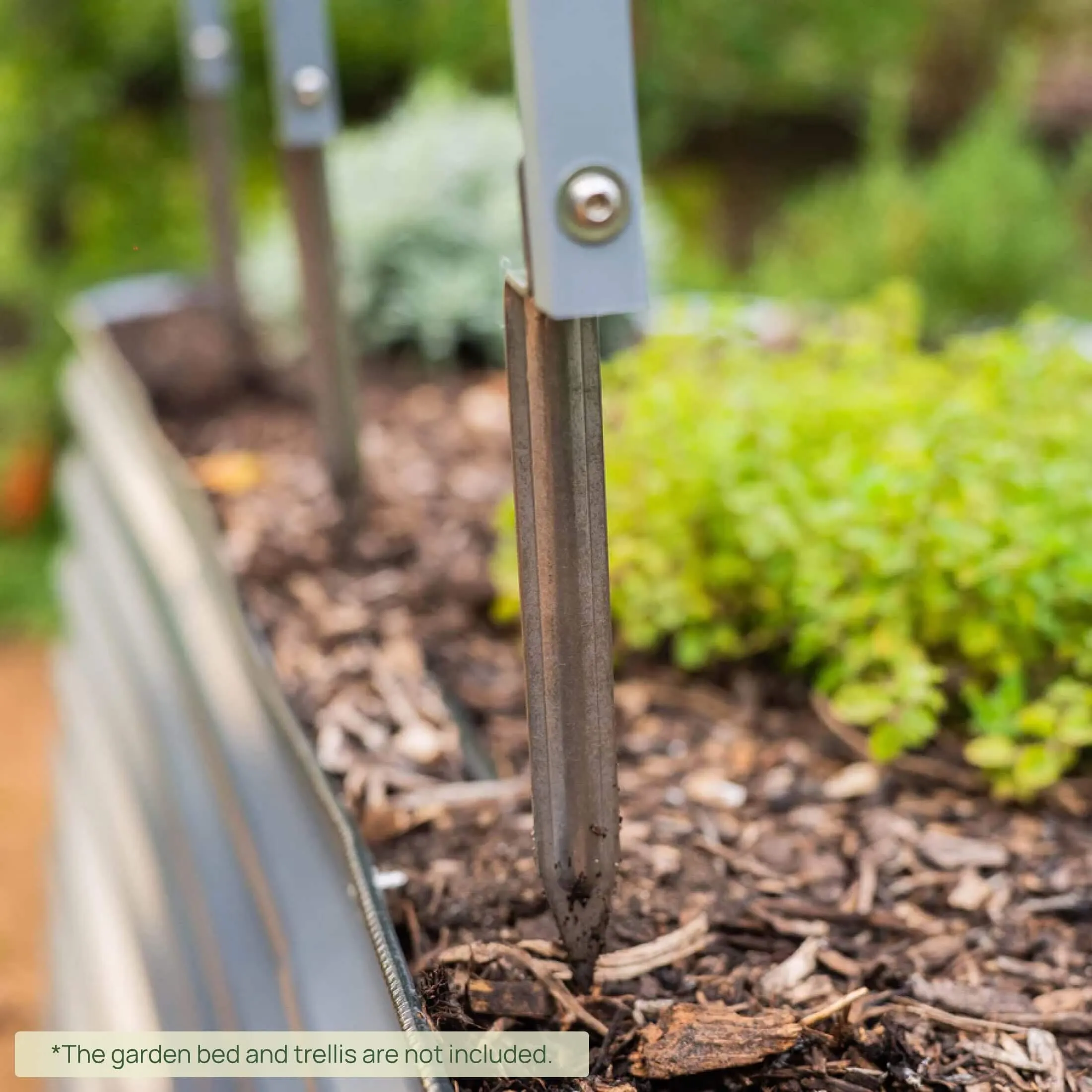 Vego Trellis Anchors
