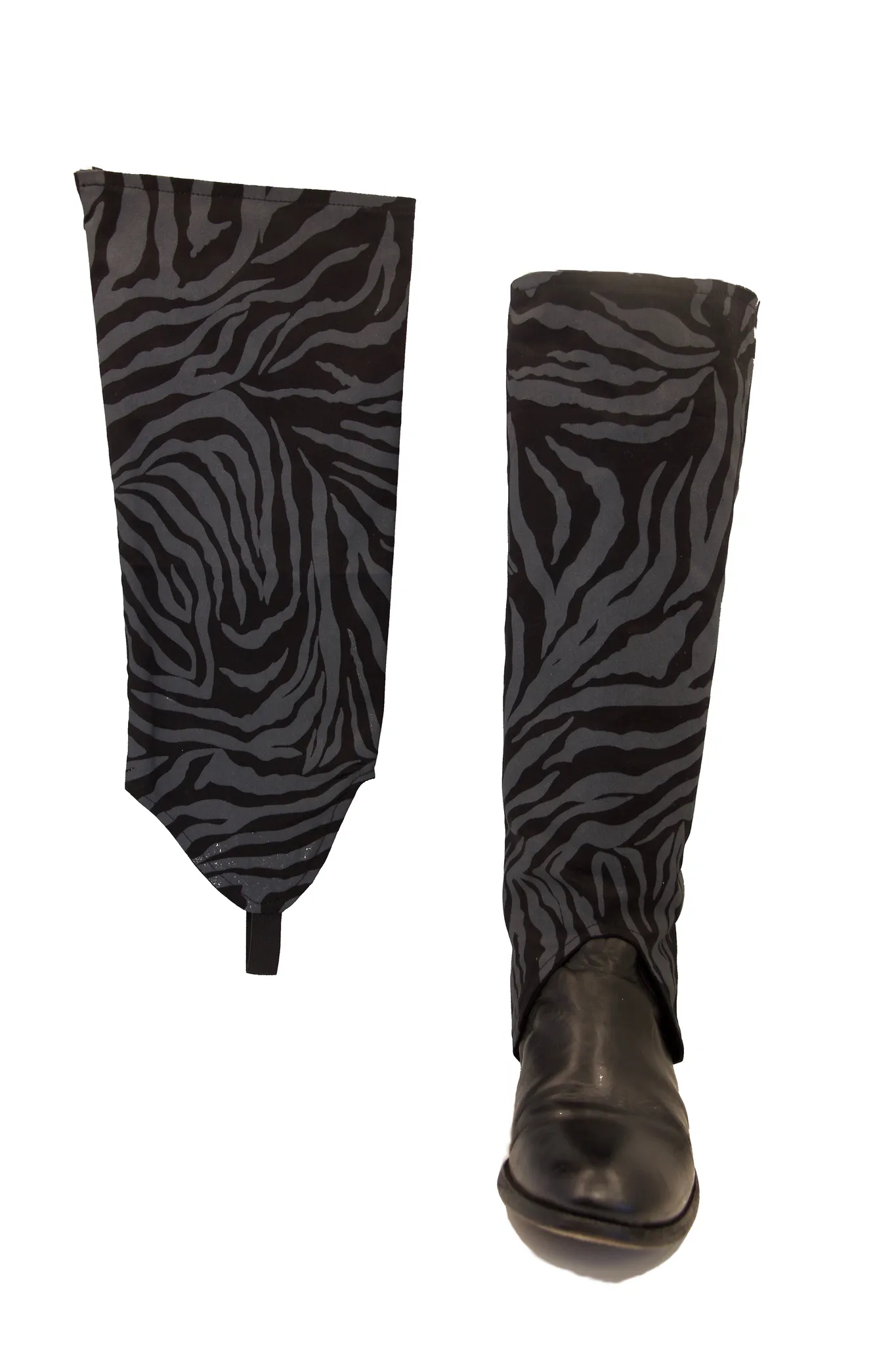 Zebra EQ