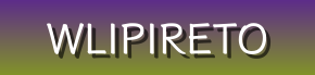 Discover Top Picks - Lace-Up Boots, Strappy Sandals & More at Wlipireto | Exclusive Footwear Deals